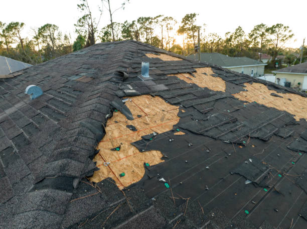 Best Chimney Flashing Repair  in Quail Creek, TX